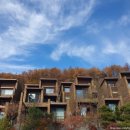 포레스트리솜 이미지