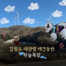 안전목장 | [공지] 강아지 동반 여행지 | 대관령 하늘목장 애견동반 후기 | 강아지와 다녀온 기록