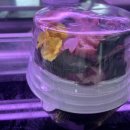 오서농장 이미지