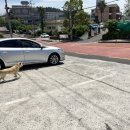 중앙로관광버스전용주차장 이미지