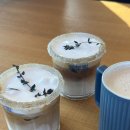 동굴목장 | (힐링하닁 강원도 여행) 대금굴 , 몽토랑산양목장&amp;뷰카페