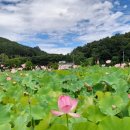 유희태농장 이미지