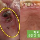 동암튼튼의원 이미지