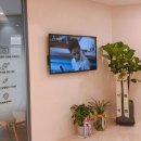 해온미소치과의원 이미지