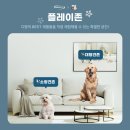 IN디팡 이미지