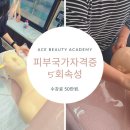가꾸는동안 이미지