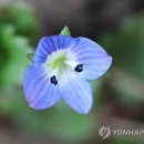 토요일 이미지