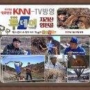 지리산엄천골 | 피로회복에 좋은 지리산 엄천골 숙성칡즙