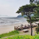 쉼이있는자유 이미지