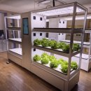 인천석정초등학교 이미지