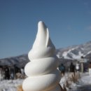 매화목장 | 일본어가 많아서 일본스러운 일본 나고야 여행기 2탄(다카야마,시라카와고 투어)