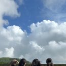 제주우
