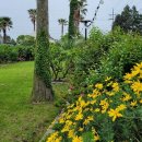 펜션 153 이미지