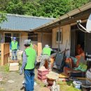 그루터기 이미지