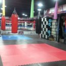 용인대The Best복싱클럽 이미지