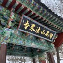 지리산 등반 후기 ⛰️｜한라산보다 더 힘들었던 극한의 도전 (법계사 코스)