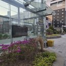 평택봄약국 이미지