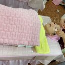 장지영코스메틱 - 관악구 남부순환로181길 41 | 서울 여드름 압출 잘하는 곳 :: 신림 장지영 코스메틱 후기