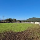 부마목장 이미지