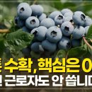 팜코리아 FARM KOREA 이미지