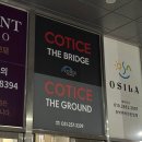 코티스 더 브릿지 이미지