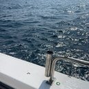 단우약국 | 강릉배낚시ㅣ강릉여행 이색 데이트코스 안목해변놀거리 가족,커플 액티비티 추천