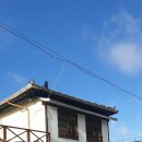 이모식당 이미지