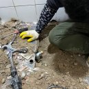 그린종합설비/화장실 시공/변기교체/재래식변기에서 좌변기로 교체작업