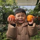 태완농장 이미지