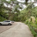 소나무세상 이미지