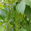 철새보러가는길 이미지