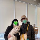 놀로동물행동클리닉 이미지