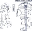 십일 족 소양 담경 유주 자시 足少陽膽經流注 子時 *담 도인법 이미지