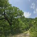 둥굴봉1교 | DMZ 평화의길 30코스 설악금강서화마을~진부령미술관