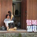 효리네 민박 이미지