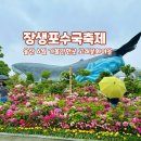 울산 가볼 만한 곳 장생포 수국 페스티벌 2025 비 오는 날