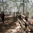 김유정문학마을 이미지