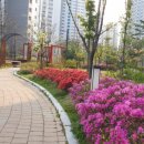 미사12단지공인중개사사무소 이미지