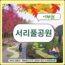 서리풀문화광장3 | 서리풀공원 주차장에서 몽마르뜨 공원 방배숲환경도서관 서울 산책로