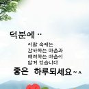 꽃을사랑합니다 이미지