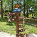 우치흑염소 이미지