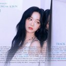 김세정 카카오 검색결과