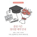 도토리플