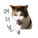 놀부정육식당