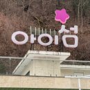 세자매목장 | 가평 애견동반가능 글램핑장 [아이섬 풀 글램핑]트라이콩B내돈내산 숙박후기