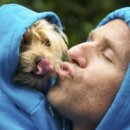 펫매니저 이미지