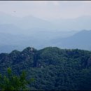 종주농장 이미지