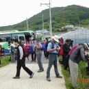 해금강 노자산 가라산 산행기 이미지