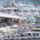 장미관문 이미지