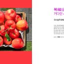 리치더리치 이미지